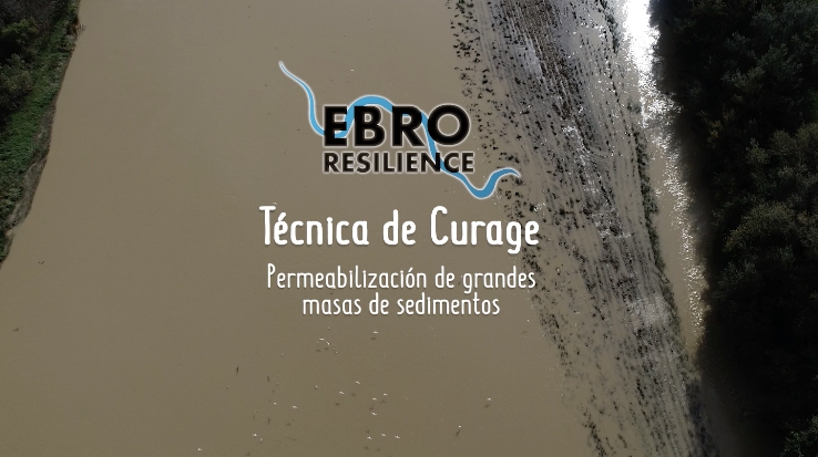 Image d\'actualité - Qué es un curage: permeabilización de masas de sedimentos vegetados
